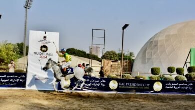 مضمار الجزيرة بالقاهرة يستضيف المحطة الـ 15 من كأس رئيس الدولة للخيول العربية الأصيلة 3 مضمار الجزيرة بالقاهرة يستضيف المحطة الـ 15 من كأس رئيس الدولة للخيول العربية الأصيلة