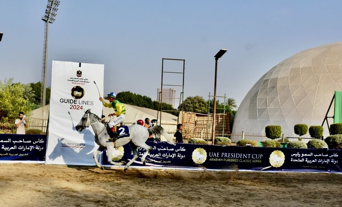 مضمار الجزيرة بالقاهرة يستضيف المحطة الـ 15 من كأس رئيس الدولة للخيول العربية الأصيلة