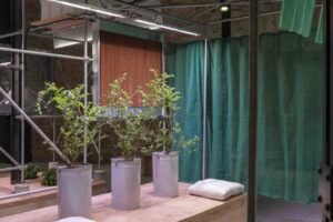 «الإمارات» تعرض رؤي مستقبلية للأمن الغذائي العالمي في بينالي البندقية