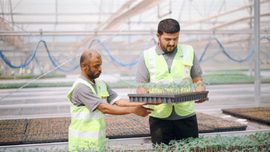 «زايد لأصحاب الهمم»