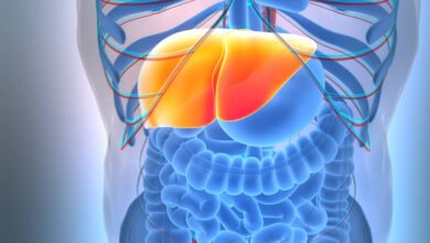 دراسة جديدة