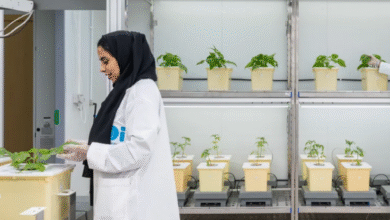 «سلال» تتعاون مع «ليماجرين لبذور الخضراوات» لإطلاق مركز التميز للأبحاث في علم الجينوم الزراعي ومقاومة الظروف المناخية (ARC-GEN)