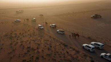 رئيس الدولة