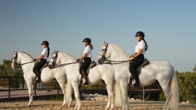 "أبوظبي للفروسية الأميرية" تستضيف نخبة "الكلاسيكية العالمية" نوفمبر المقبل