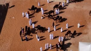 برعاية رئيس الدولة.. مهرجان الظفرة ينطلق بمحطته الأولى من سويحان غداً 4 برعاية رئيس الدولة.. مهرجان الظفرة ينطلق بمحطته الأولى من سويحان غداً