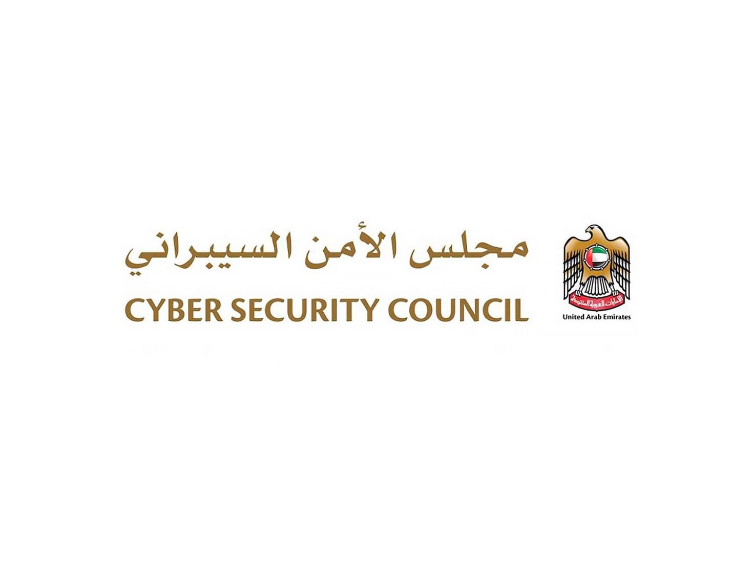 "الأمن السيبراني"