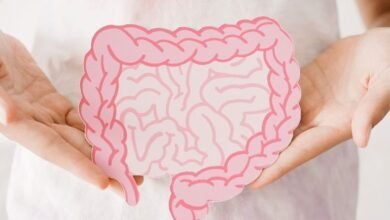 7 أطعمة غنية بالألياف تعزز حركة الأمعاء