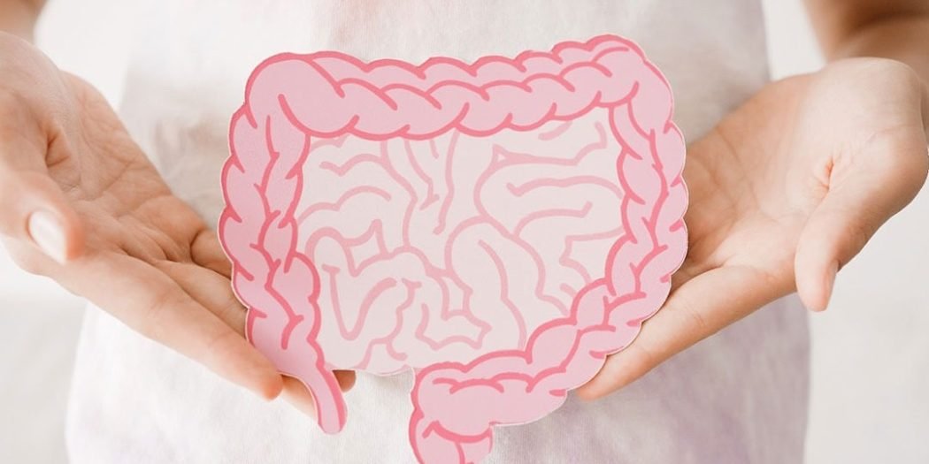 7 أطعمة غنية بالألياف تعزز حركة الأمعاء