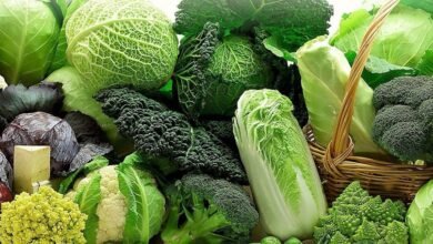 الخضروات الورقية.. كنز من المعادن والفيتامينات