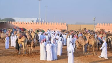 انطلاق منافسات مزاينة سويحان أولى محطات مهرجان الظفرة