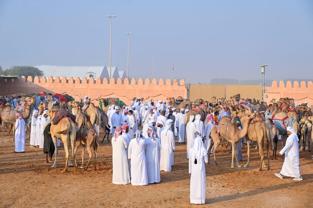 انطلاق منافسات مزاينة سويحان أولى محطات مهرجان الظفرة 1 انطلاق منافسات مزاينة سويحان أولى محطات مهرجان الظفرة