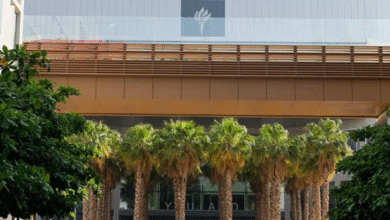 «جامعة نيويورك أبوظبي»