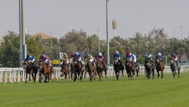 "مضمار أبوظبي" يفتتح موسم السباقات في الإمارات بمشاركة 96 خيلا