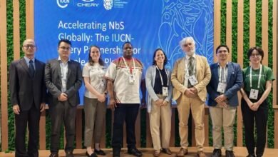 مجموعة «شيري»