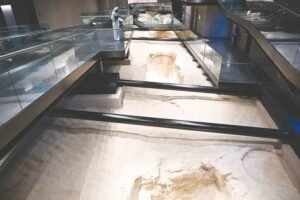 «متحف العين».. أيقونة تاريخية تنبض بتراث الأجداد وتُجسّد الهوية الوطنية