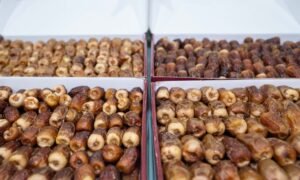 الفنون الشعبية في «الظفرة للتمور» تجسّد الثراء الحضاري والفني للإمارات