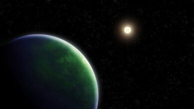 كوكبا واعدا