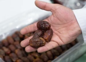 الفنون الشعبية في «الظفرة للتمور» تجسّد الثراء الحضاري والفني للإمارات