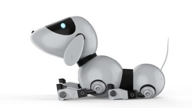 الصين تختبر كلابا آلية استعدادا لرحلة إلى القمر