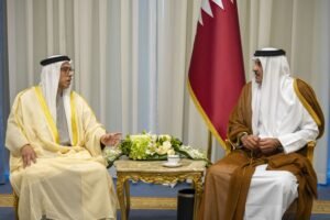 منصور بن زايد يلتقي أمير قطر على هامش قمة شرم الشيخ للسلام