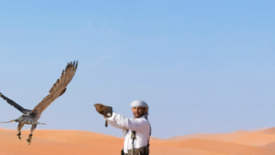 حمدان بن زايد