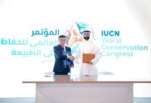 " الصندوق الدولي للحفاظ على الحبارى" ووزارة البيئة والسياحة المنغولية يوقعان مذكرة تفاهم