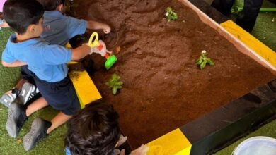 «بلدية أبوظبي»