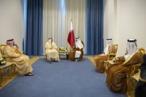 منصور بن زايد يلتقي أمير قطر على هامش قمة شرم الشيخ للسلام