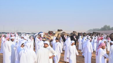 انطلاق منافسات مزاينة سويحان أولى محطات مهرجان الظفرة