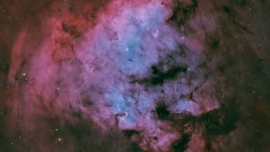 "مرصد الختم الفلكي" يوثق تصوير سدم وولادة نجوم جديدة