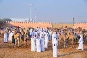 انطلاق منافسات مزاينة سويحان أولى محطات مهرجان الظفرة