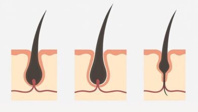 كيف ينمو الشعر؟ تعرف على دورات النمو والتساقط الطبيعية