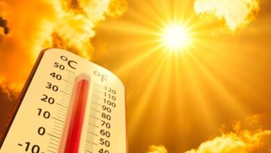 تقرير دولي: ارتفاع بنسبة 25% في الأيام شديدة الحرارة بعواصم العالم
