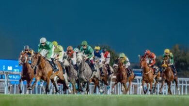 "مضمار أبوظبي" يستضيف 16 سباقا للخيول في موسمه الجديد