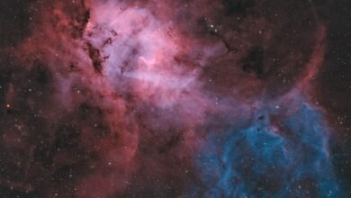 "مرصد الختم الفلكي" ينجح في تصوير سديم "الأسد"