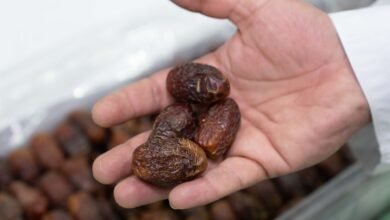 "مهرجان الظفرة للتمور" يحتفي بالموروث الزراعي الإماراتي ويدعم استدامة الإنتاج المحلي