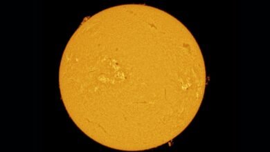 "مرصد الختم الفلكي" يوثق من أبوظبي ألسنة اللهب الشمسية