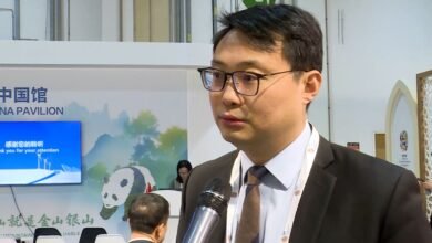 الصين تستعرض جهودها في الطاقة المتجددة خلال "مؤتمر الحفاظ على الطبيعة"