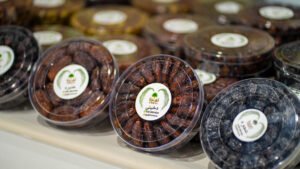 حمدان بن زايد