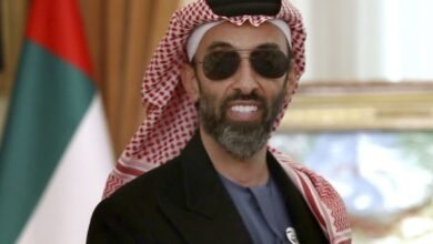 طحنون بن زايد