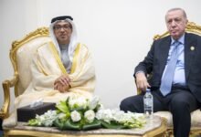 منصور بن زايد يلتقي الرئيس التركي ورئيس الوزراء العراقي على هامش قمة شرم الشيخ للسلام
