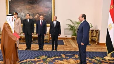 سفير الإمارات يقدم أوراق اعتماده إلى الرئيس المصري