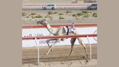 تألق "الأندلس" والحصن في مهرجان العين للهجن