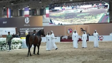 بتنظيم جمعية الإمارات للخيول العربية / نجاح بطولة كردستان لجمال الخيل