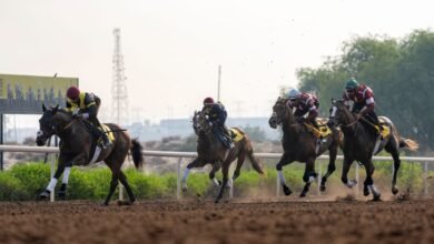 91 خيلا تشارك في "السباق التجريبي" الـ2 بمضمار جبل علي