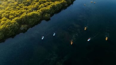 الشارقة تستعرض تراثها الثقافي وأحدث وجهاتها السياحية في سوق السفر العالمي 2025 بلندن