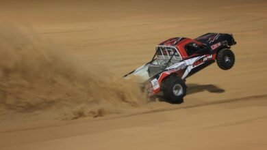 مهرجان ليوا الدولي يفتح باب التسجيل للمشاركة في فعالياته