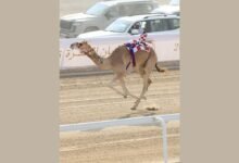 سلطان بن حمدان يشهد فعاليات مهرجان الظفرة للهجن