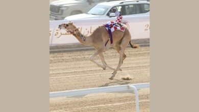سلطان بن حمدان يشهد فعاليات مهرجان الظفرة للهجن