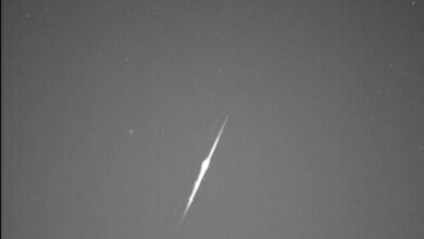 شبكة الإمارات لرصد الشهب توثق زخة "التنينيات" بالتعاون مع "ناسا"